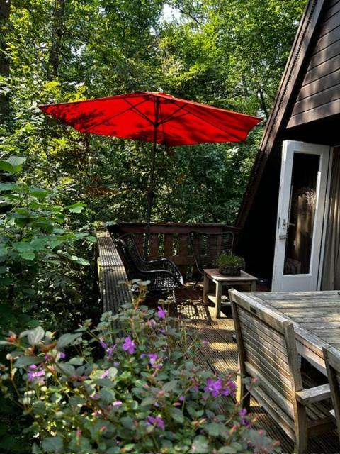 Chalet Woods Durbuy Esterno foto